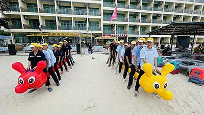 Our Team